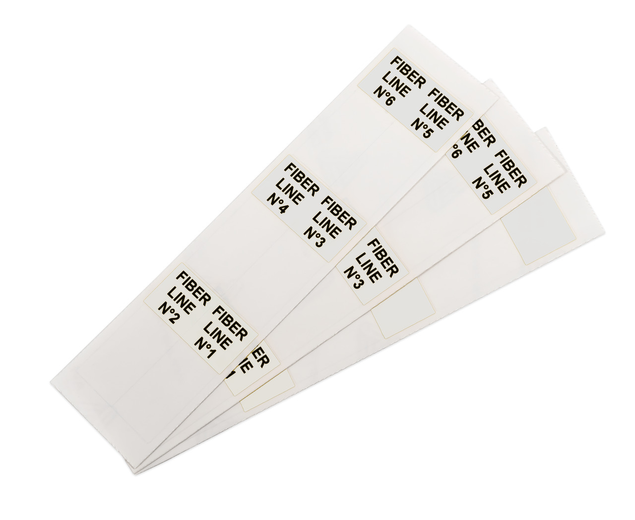 VYL-EVOSL072025 WH